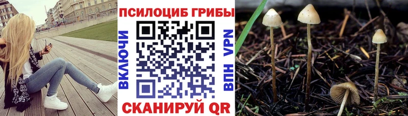 Галлюциногенные грибы мицелий продажа наркотиков Пустошка